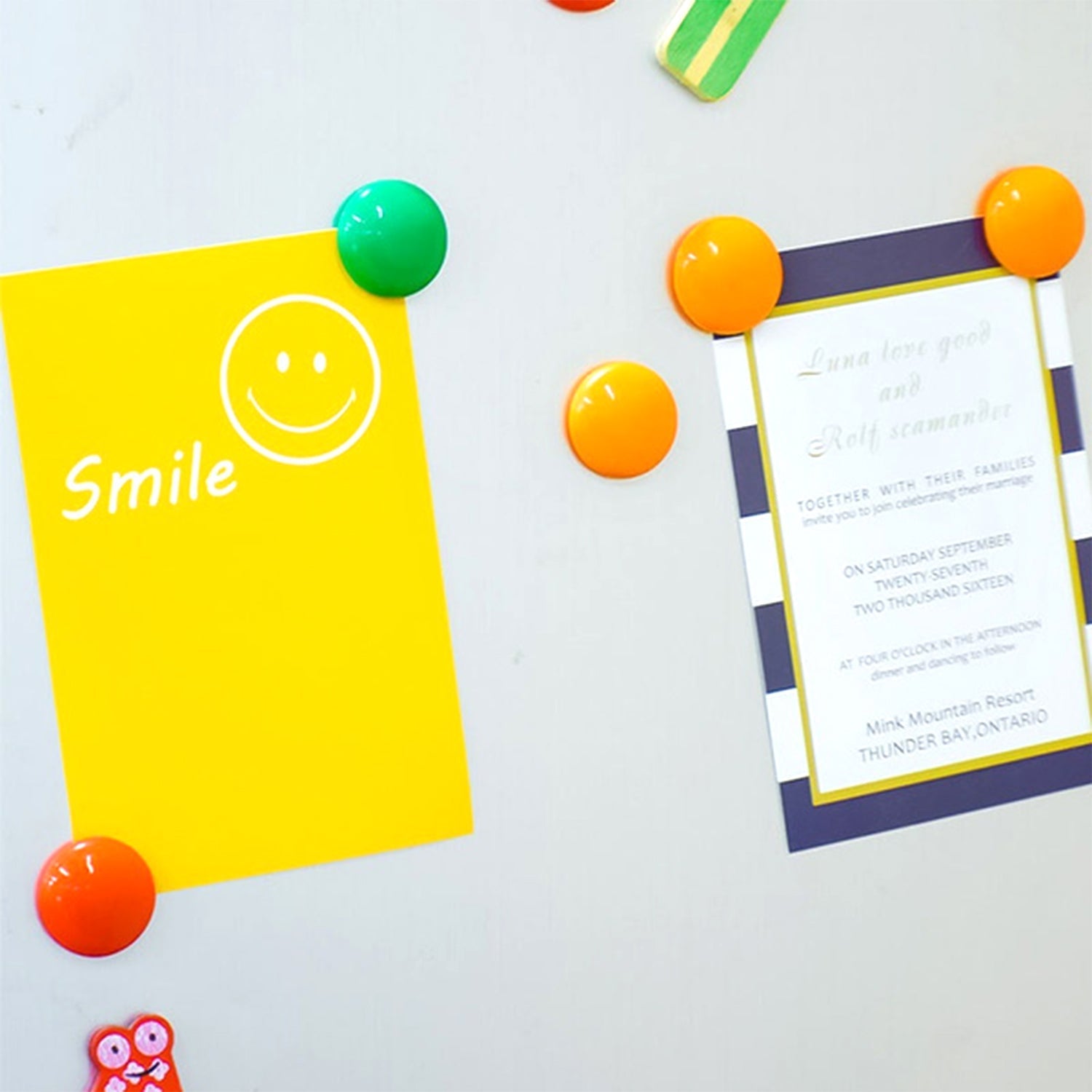 Close-up of vibrant 2cm plastic magnetic pins on a white board surface.
