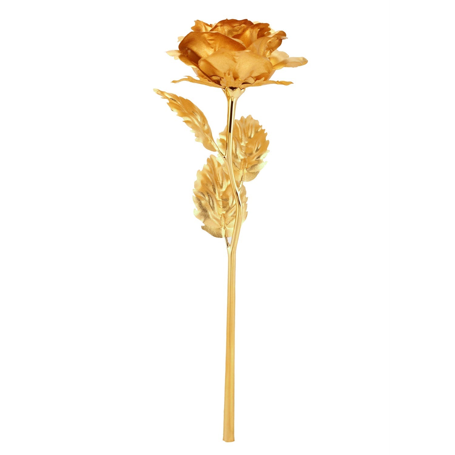 Top view of gold plated rose in clear presentation gift case