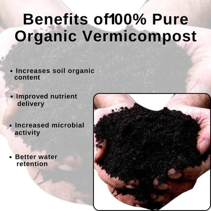 Organic gardening soil mix with coco peat